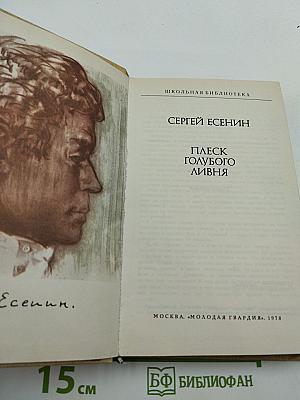 Плеск голубого ливня