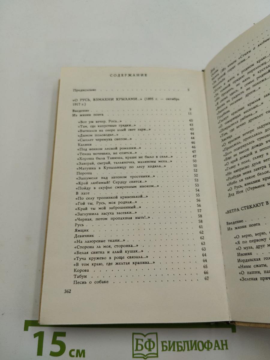 Плеск голубого ливня