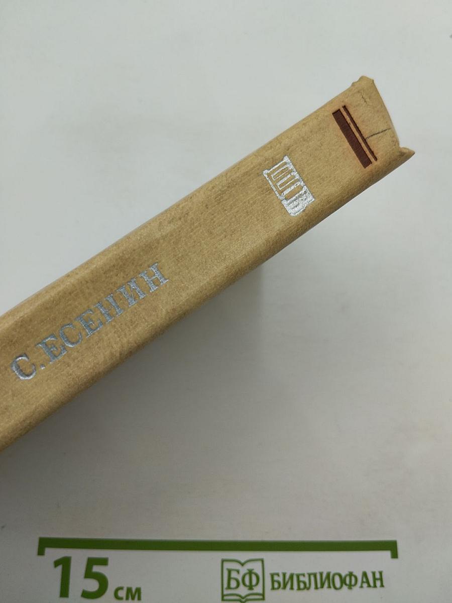 Плеск голубого ливня