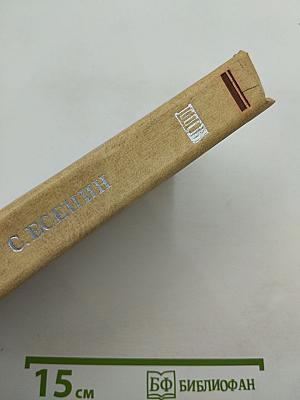 Плеск голубого ливня