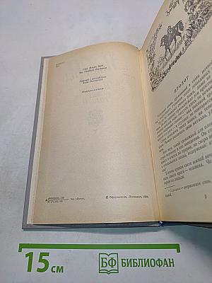 Всадник без головы