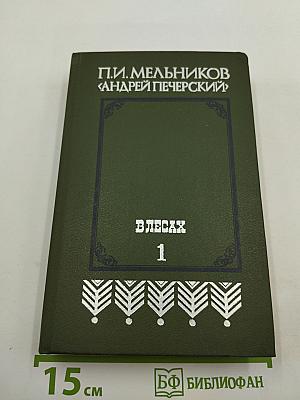 В лесах. Книга первая
