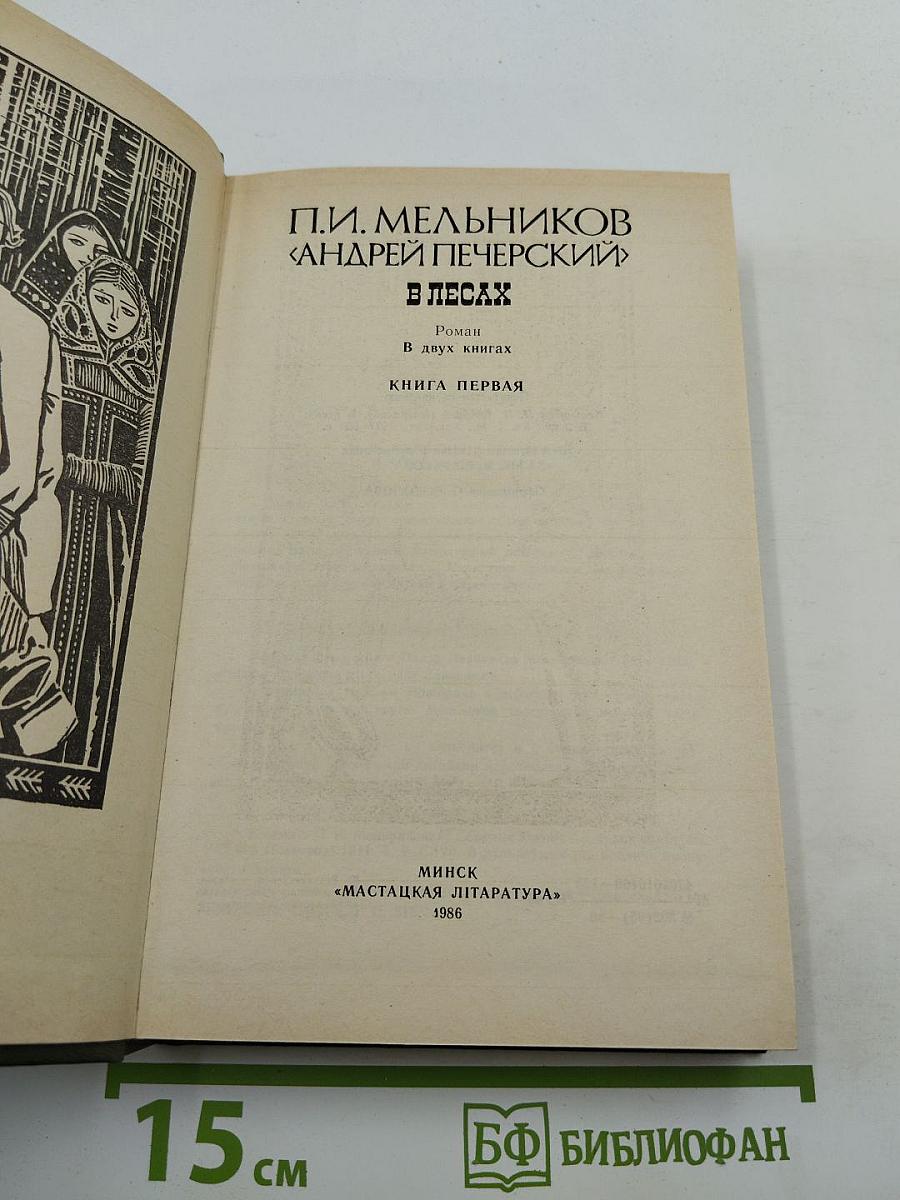 В лесах. Книга первая