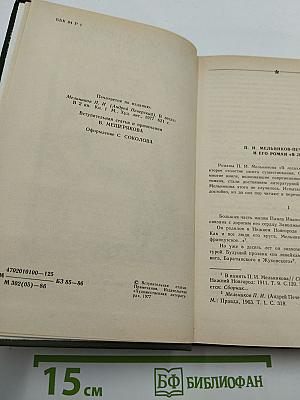 В лесах. Книга первая