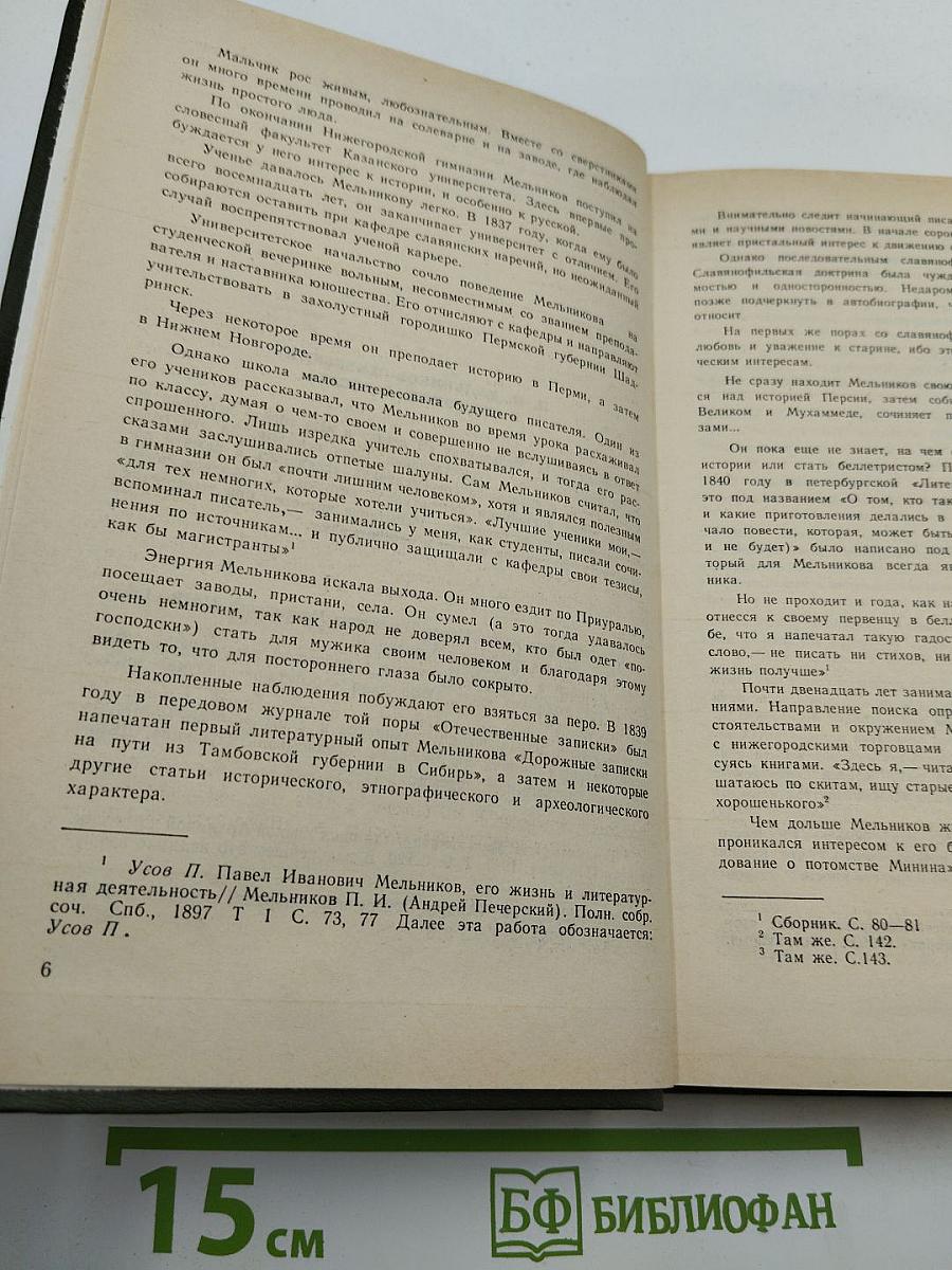 В лесах. Книга первая