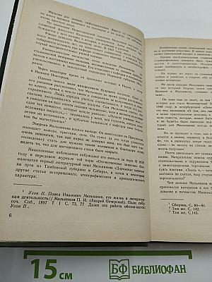 В лесах. Книга первая