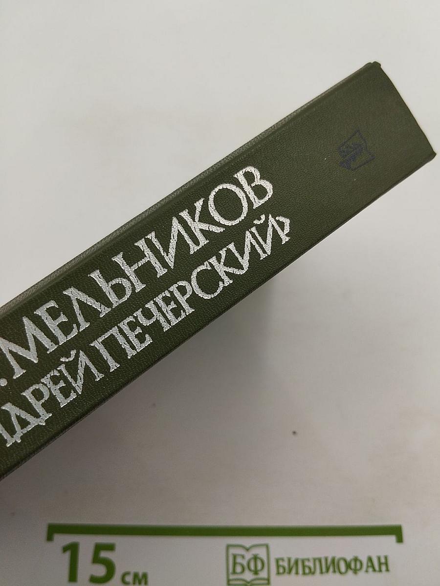 В лесах. Книга первая