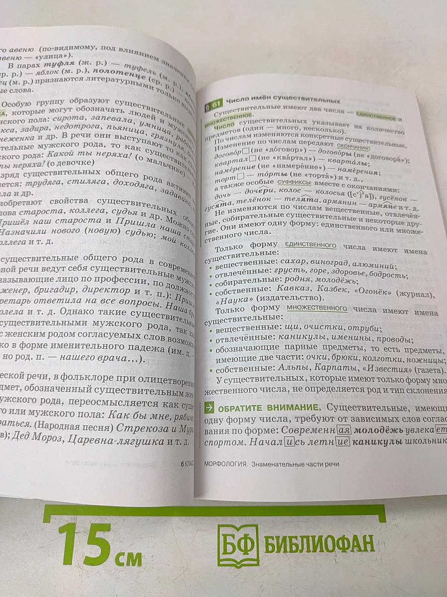Русский язык. Теория. Углублённое изучение. 5-9 классы