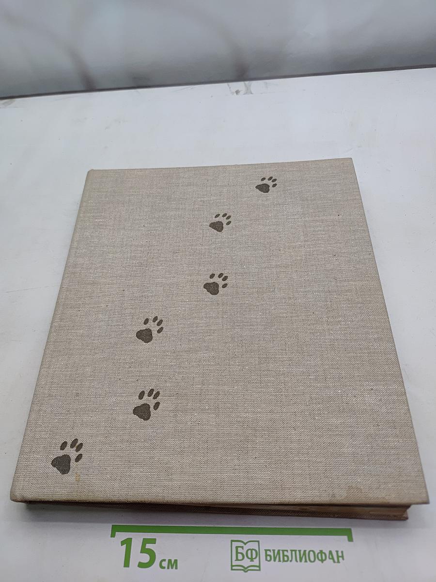 Das große Katzenbuch
