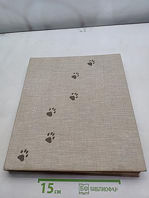 Das große Katzenbuch