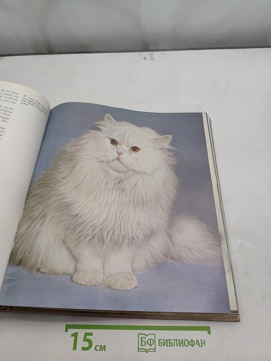 Das große Katzenbuch
