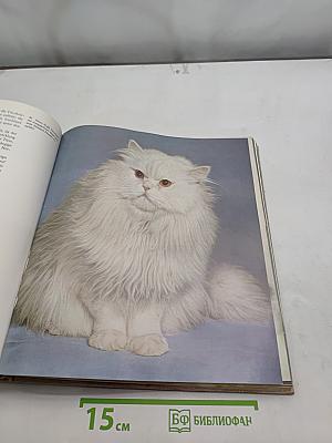 Das große Katzenbuch
