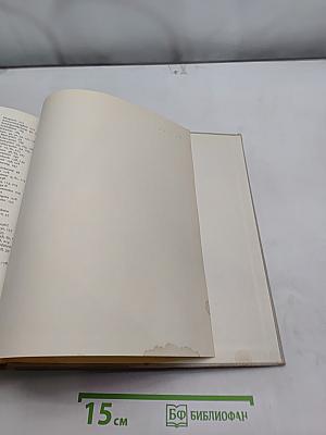 Das große Katzenbuch