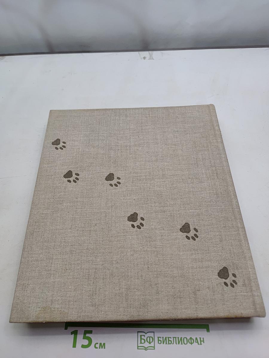 Das große Katzenbuch