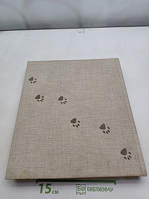 Das große Katzenbuch