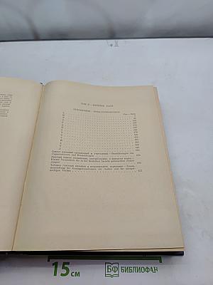 Большой немецко-русский словарь. Том II
