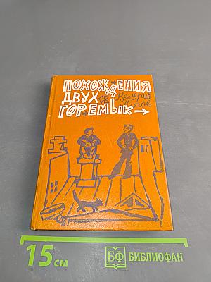 Похождения двух горемык