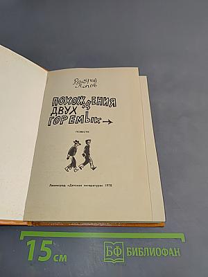 Похождения двух горемык