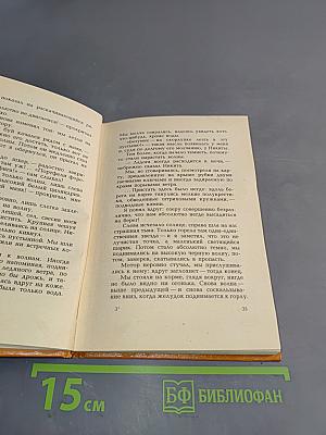 Похождения двух горемык