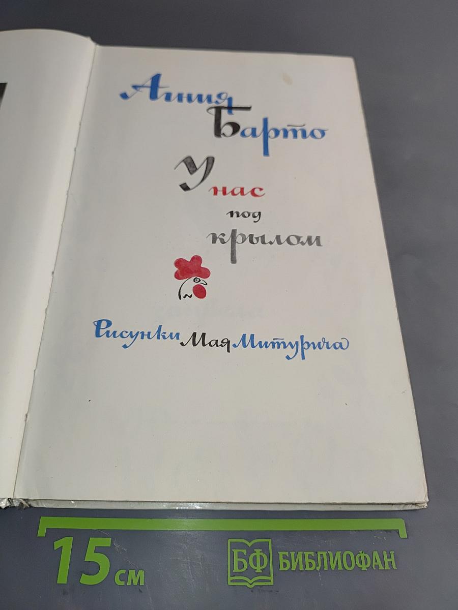 У нас под крылом