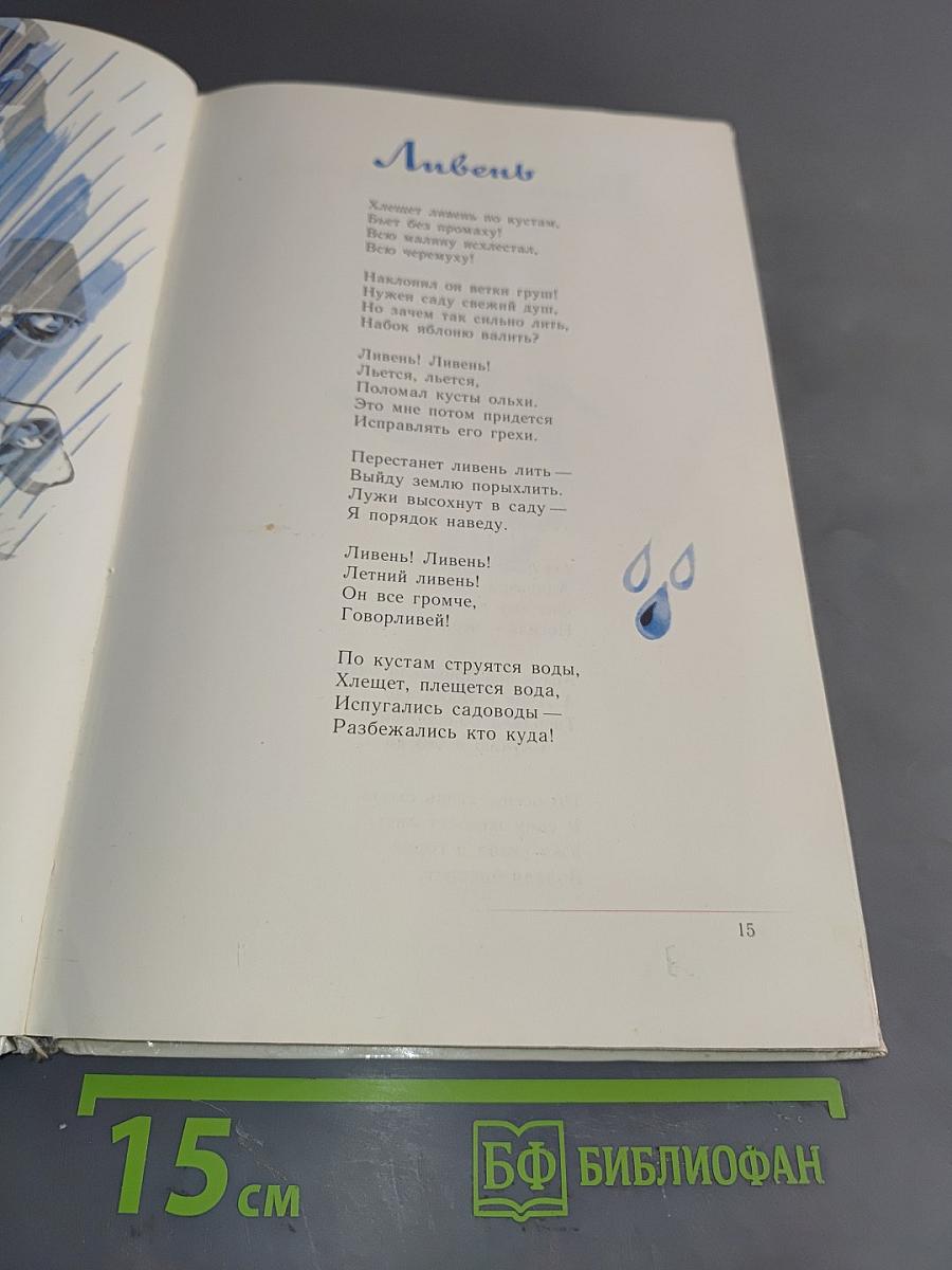 У нас под крылом