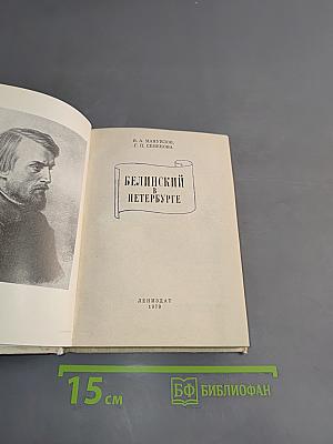 Белинский в Петербурге