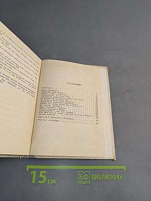 Белинский в Петербурге