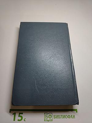 Арктический роман