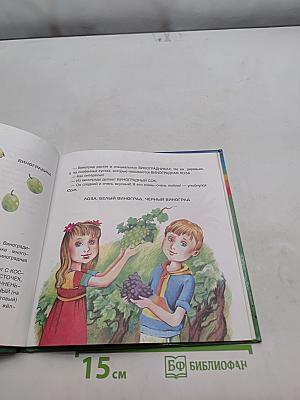 Фрукты, овощи и гусеница Дуняша