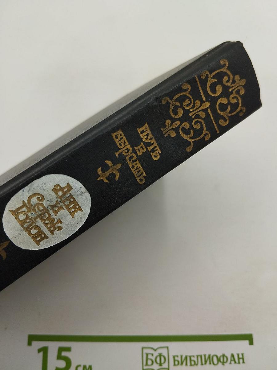 Путь в Версаль. Анжелика и король