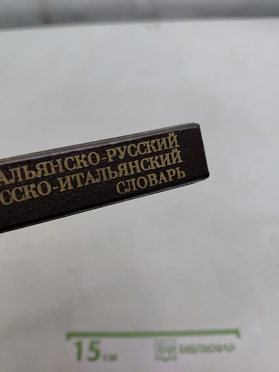 Итальянско-русский и русско-итальянский словарь для школьников