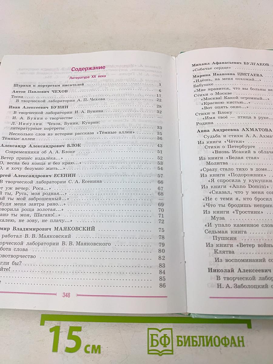 Литература 9 класс. Часть 2
