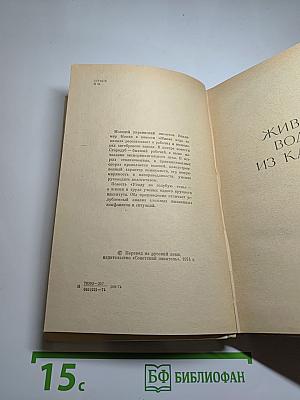 Живая вода из камня