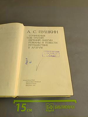 Сочинения. Том третий. Евгений Онегин. Романы и повести. Путешествие в Арзрум