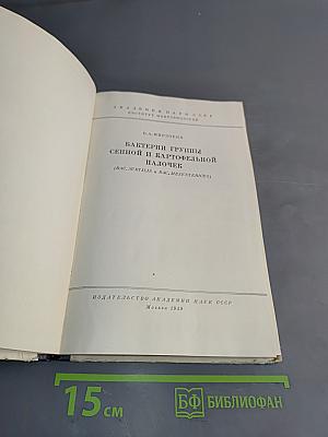 Бактерии группы сенной и картофельной палочек (Bac. subtilis и Bac. mesentericus)