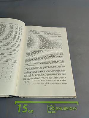 Бактерии группы сенной и картофельной палочек (Bac. subtilis и Bac. mesentericus)