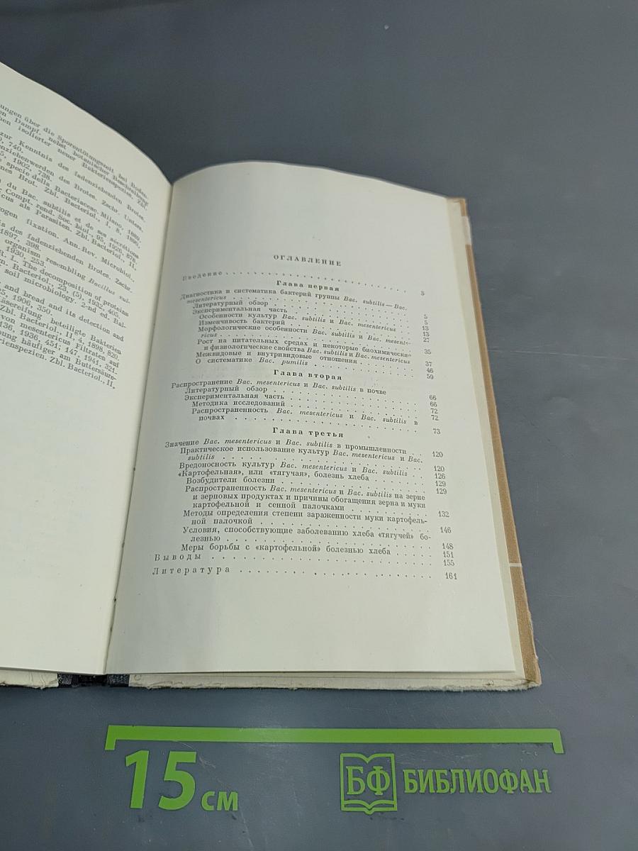 Бактерии группы сенной и картофельной палочек (Bac. subtilis и Bac. mesentericus)