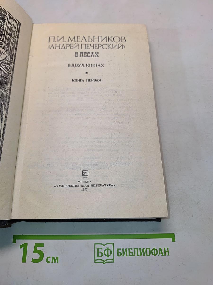 В лесах. Книга первая