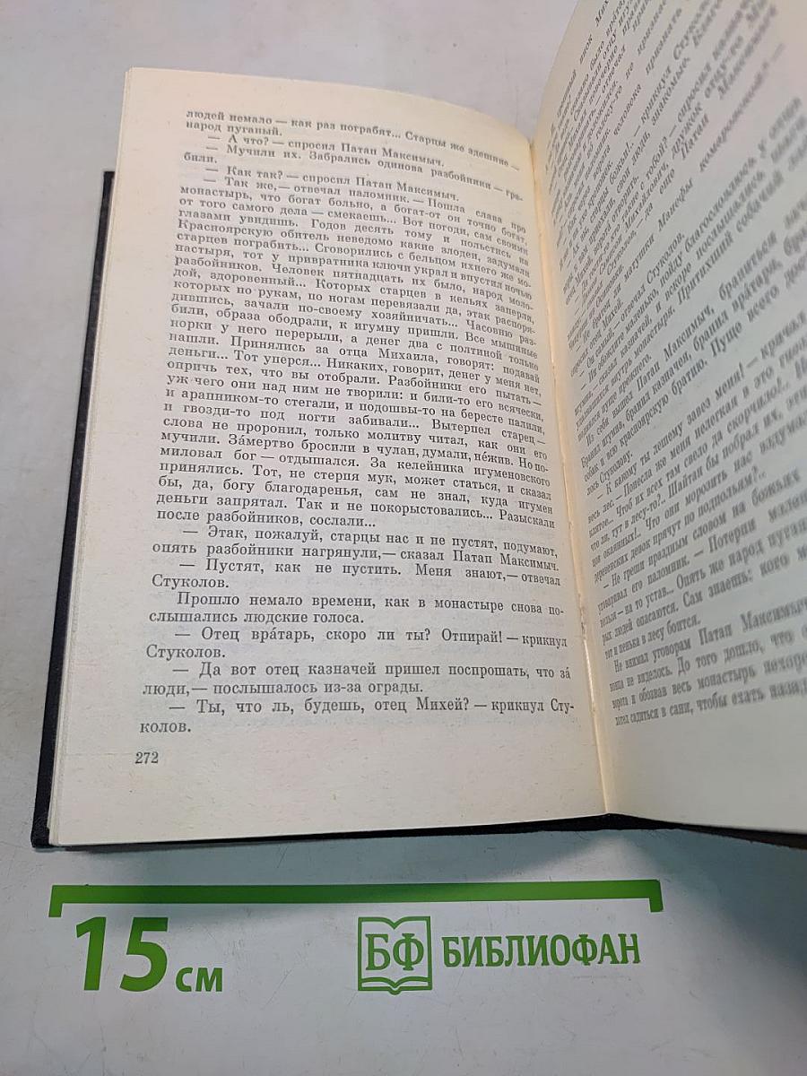 В лесах. Книга первая