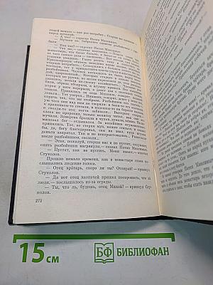 В лесах. Книга первая