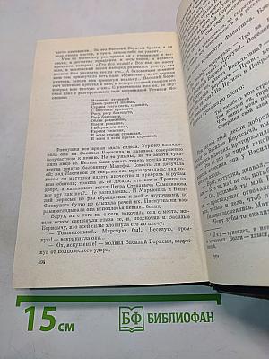 В лесах. Книга первая
