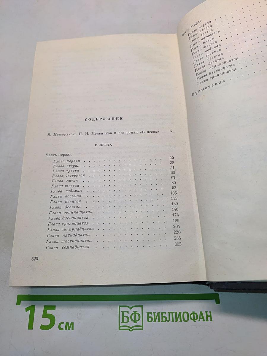 В лесах. Книга первая