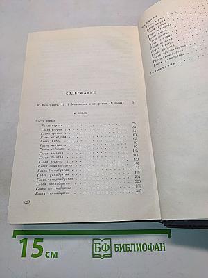 В лесах. Книга первая
