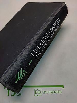 В лесах. Книга первая