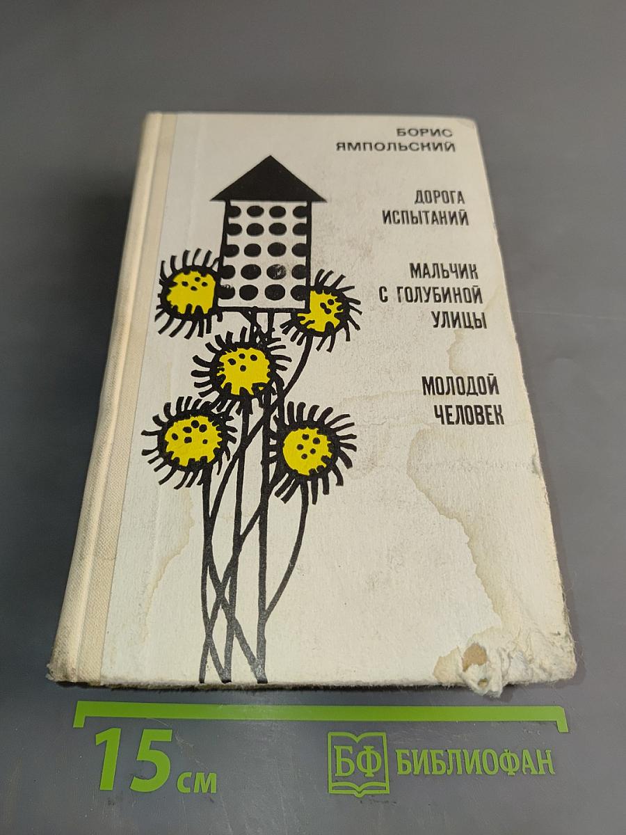 Дорога испытаний. Мальчик с голyбиной улицы. Молодой человек. Повести