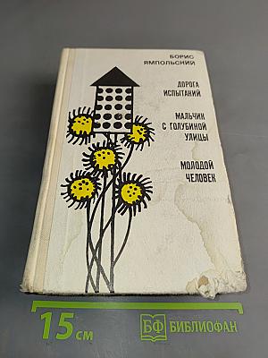 Дорога испытаний. Мальчик с голyбиной улицы. Молодой человек. Повести