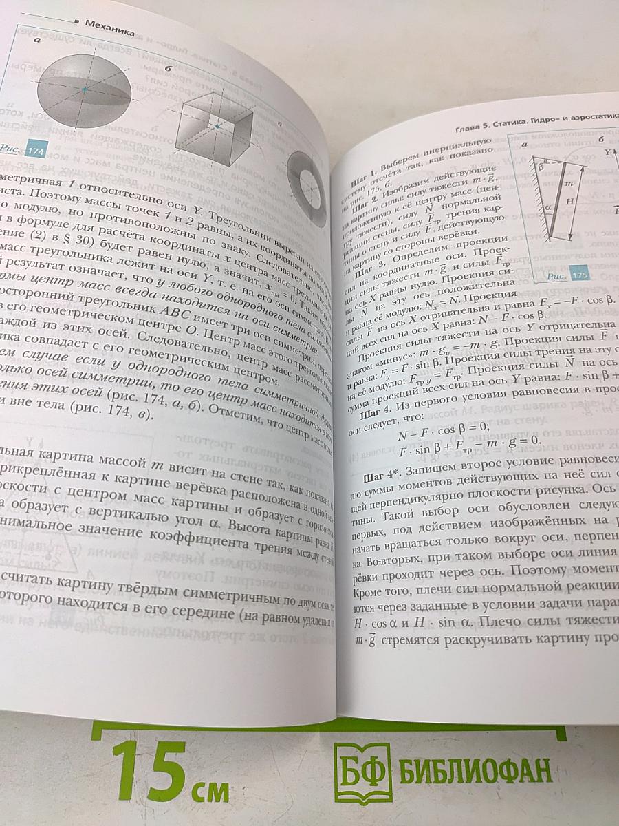 Физика 10 класс