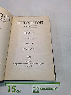 Война и мир. Том пятый