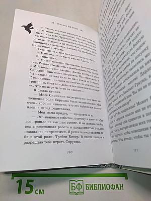 Трейси Бикер – суперзвезда!