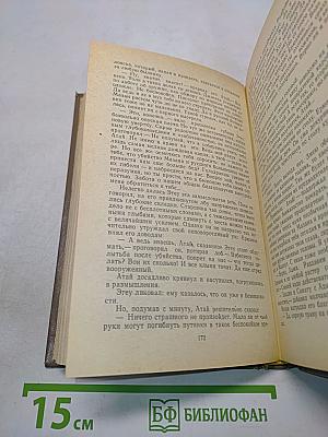 Горные орлы